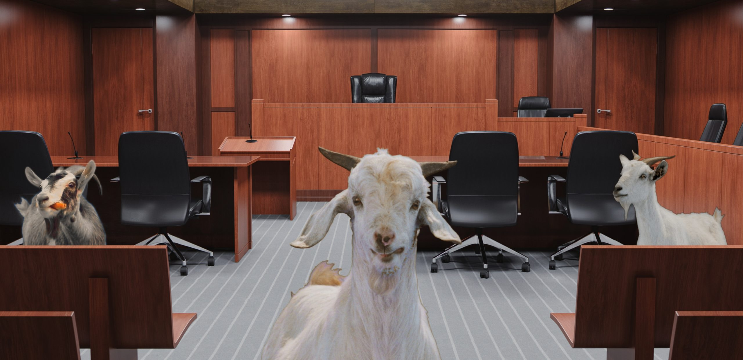 Goat Goat & Goat Attorneys at Law